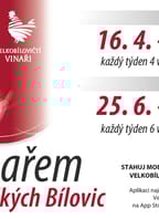 Za vinařem do Velkých Bílovic