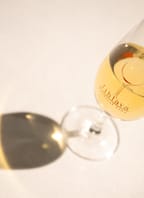 Festival vín Jihlava