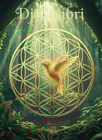 Extatická taneční cesta s Guyem Barringtonem