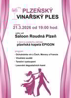 Plzeňský vinařský ples