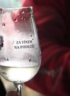 Za vínem na Podluží