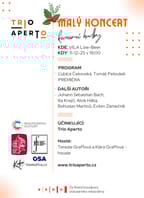 Malý adventní koncert komorní hudby