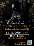Petr Tomeček / Vánoční magické píšťaly