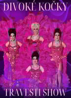 Travesti Divoké kočky v Brně