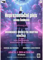 X. Reprezentační ples města Čelákovic