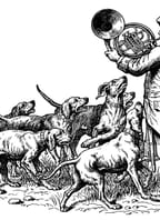 Reprezentační ples společnosti AGROWALD