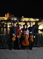 Adventní koncert ve Višňovém