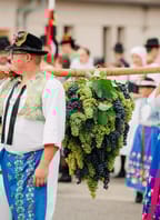 Strážnické vinobraní