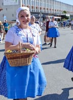 Velkopavlovické vinobraní