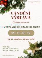 Vánoční výstava