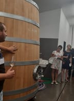 VÍNOBRANÍ ve vinařství Vican