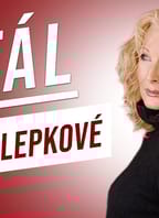 Šansonová pohoda Vánoc – koncert Světlany Nálepkové