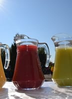 Sedlecké vinobraní