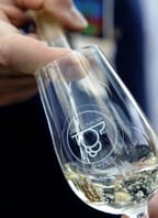 TOP Víno Slovácka 2026