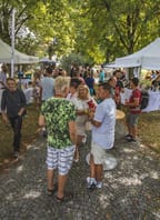 Skutečný festival vína