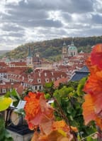 Svatý Martin ve Svatováclavské vinici