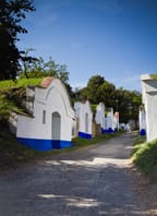 Otevřené sklepy Vinařů Strážnicka