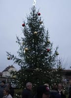 Rozsvícení vánočního stromu ve Štítarech