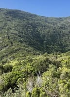 Dobročinná přednáška: Azory – řetězec ostrovů mezi Evropou a Amerikou