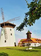 Husí hody a mladá vína