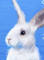 SAMETOVÝ KRÁLÍČEK