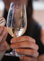 Den vína v Buchlovicích