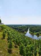 Vyhlášení výsledků Národní soutěže vín vinařské oblasti Čechy