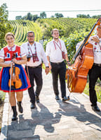 Otevřené sklepy Dubňanská hora