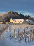 Tříkrálový košt mladých vín s posezením u cimbálu