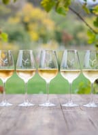 Degustační neděle ve Vinařství Fučík