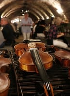 Volba Miss Burčák & večer s cimbálkou ve Valtickém Podzemí