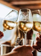 Exkurze ve Vinařství Fučík