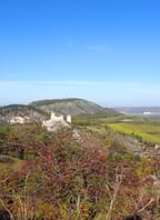 Pálavský vlašák Klentnice