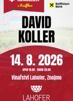 David Koller (Hudba na vinicích)