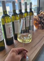 Letní páteční večer s vinařem