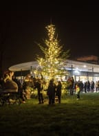 Rozsvícení vánočního stromu v kampusu Jihočeské univerzity