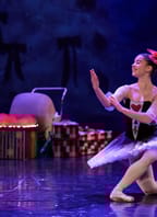 Louskáček: Vstupte do světa vánočního kouzla