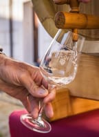 Svatomartinská a mladá vína