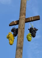 Zarážení hory Bořetice