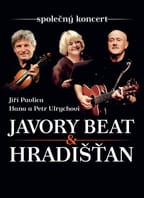 Jiří Pavlica, Hradišťan & Hana a Petr Ulrychovi, Javory Beat