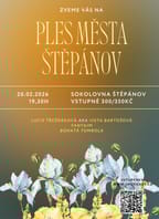 8. ples města Štěpánov