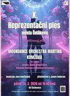 X. Reprezentační ples města Čelákovic