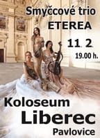 Smyčcové trio Eterea