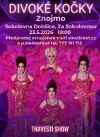 Travesti Divoké kočky ve Znojmě