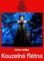 Kouzelná flétna 2D/T