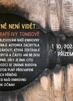 CO V KNIHOVNĚ NENÍ VIDĚT…