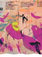 Komentovaná prohlídka výstavy Prostrčit oko jehlou