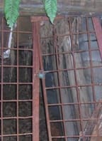 Štěchovický poklad: mýtus nebo realita?