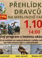Přehlídka dravců v Merlinově farmě
