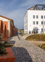 Svatomartinská husa v restauraci APRI